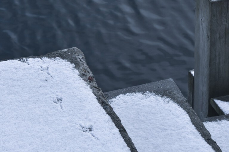 Bird footprints on snow
